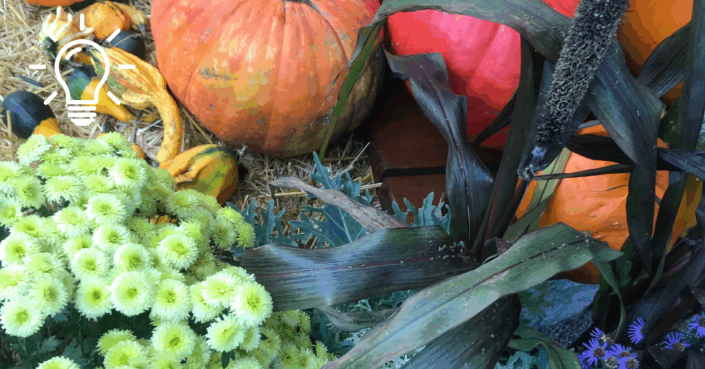 prosperous harvest (1200 x 628 px)