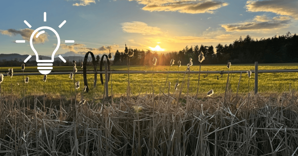 sunset across a field, water wheel in the foreground, blue sky and white fluffy clouds walking the sun to bed.
